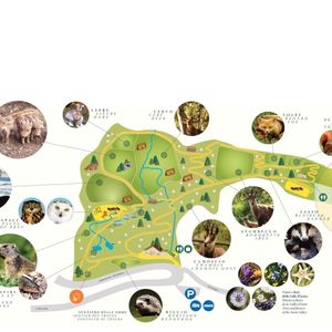 Parc animalier d'Introd