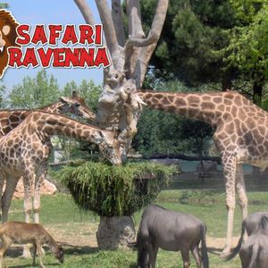 Zoo Safari Ravenna