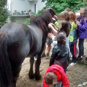 Osteria della Bastia 