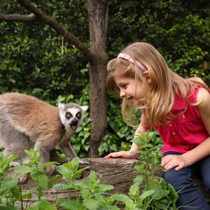 Giardino Zoologico Di Pistoia