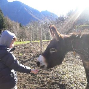 Agriturismo Bianconiglio