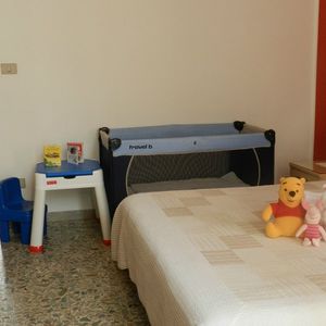 Actinia Accomodation