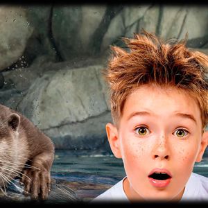 Acquario di Cattolica