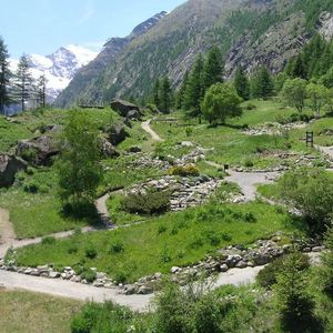 Giardino Botanico Alpino Paradisia