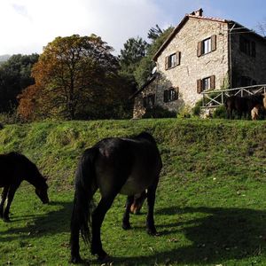 Agriturismo Giandriale