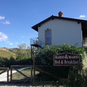 B&B Mario&Mario