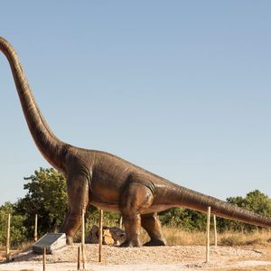 Boscosauro Tenuta Sabini