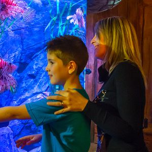 Gardaland SEA LIFE Aquarium