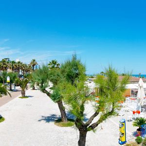 Hotel Altis