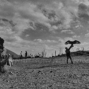 Setteventi del Pollino