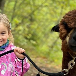 Passeggiata con alpaca sull'appennino Emiliano