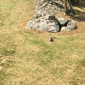 Centro Visita Uomini e Lupi