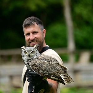 Falconiere per un giorno