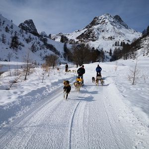 Sleddog Adventure a Castelmagno 