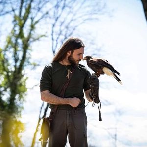 Falconeria