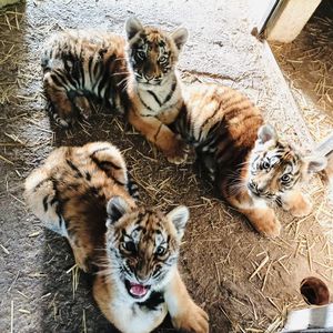 Parco Safari delle Langhe