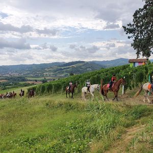 Passeggiata a cavallo nelle Langhe