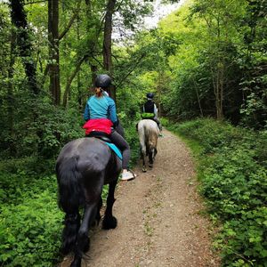 Passeggiata a cavallo ad Ivrea