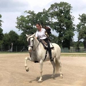 Falconeria a cavallo in Brianza