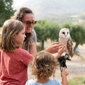 Falconiere al parco del Pollino