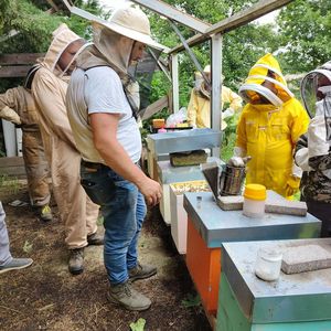 Apicoltore per un giorno