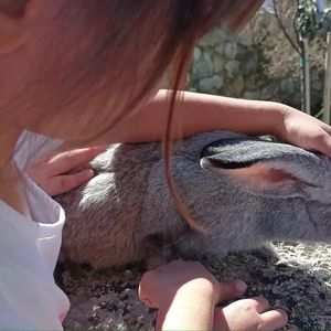 Giornata in fattoria 