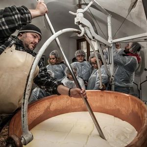 Giornata in fattoria: dalla mungitura al formaggio