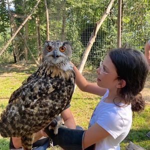 Alla scoperta dei Rapaci e degli animali da fattoria