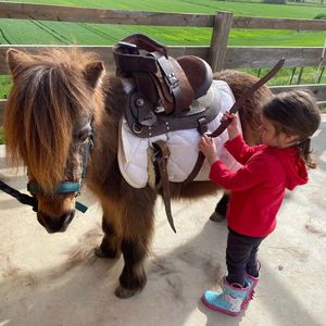Passeggiata sul pony per bambini
