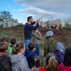 Visita in fattoria e laboratorio di formaggio in Romagna