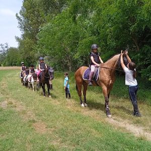 Passeggiata sui pony con merenda per bambini 