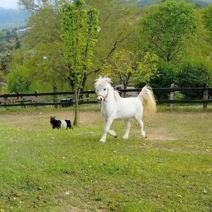 esperienza didattica in fattoria per bambini 