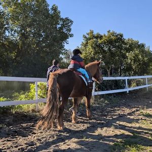 Battesimo della Sella  