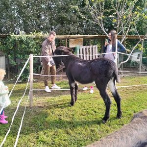 Esperienza didattica in fattoria 