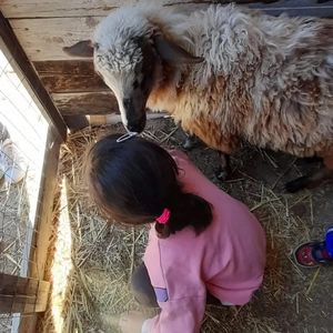 Visita guidata per famiglie in fattoria vicino a Cagliari
