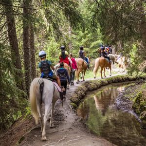 Passeggiata a cavallo tra boschi e ruscelli in Val d’Ayas