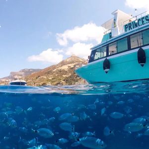Tour in motonave di Sant'Andrea all'Isola d'Elba