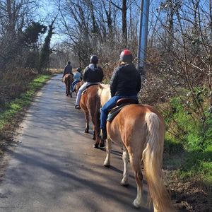 A cavallo nel parco del Ticino