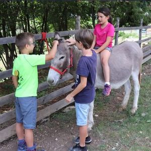 Visita guidata per famiglie in una fattoria della Val Tiberina