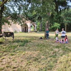 Passeggiata con asinello vicino a Santhià