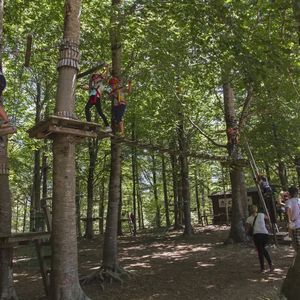 Parco avventura nella Sila