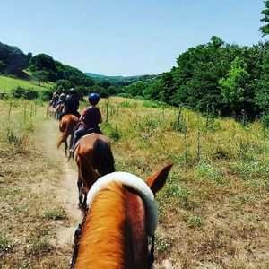 passeggiata a cavallo in Gallura 