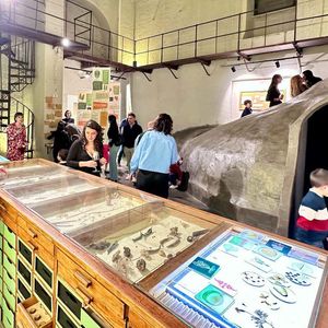 Radici, Piccolo Museo della Natura