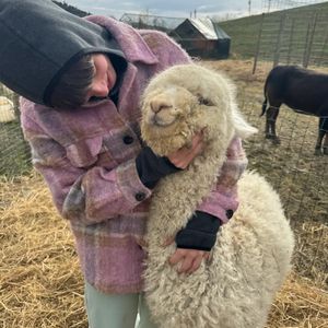 Visita guidata in fattoria e laboratorio per bambini in provincia di Lucca