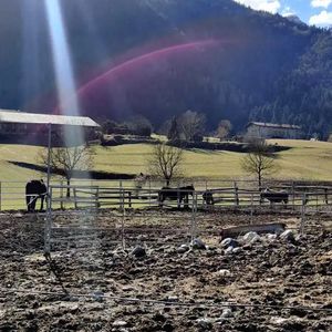 Passeggiata con gli animali della fattoria