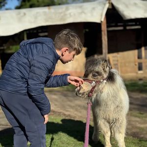 Passeggiata con i pony più piccoli del mondo