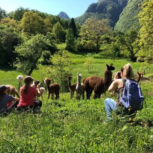 Esperienza in fattoria didattica