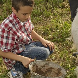 Fattoria didattica e degustazione vini e specialità siciliane