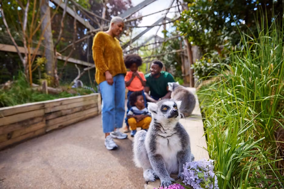 Zoo di Londra