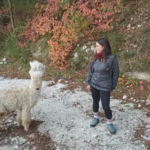 Passeggiata con alpaca nel Parco Gola della Rossa e Frasassi